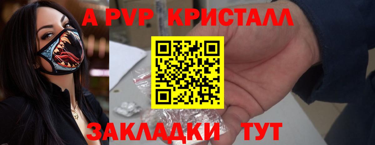 A PVP СК Будённовск