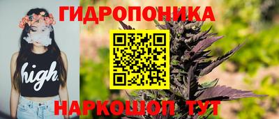 spice Кунгур