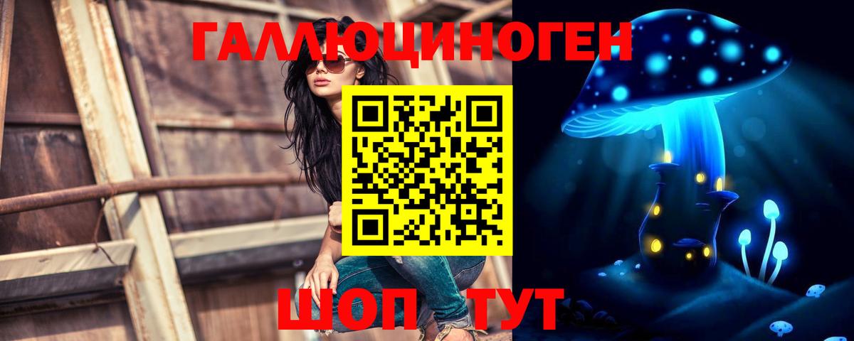 Псилоцибиновые грибы Psilocybe  Вход с VPN  Будённовск 